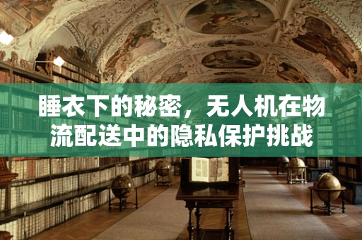 睡衣下的秘密，无人机在物流配送中的隐私保护挑战