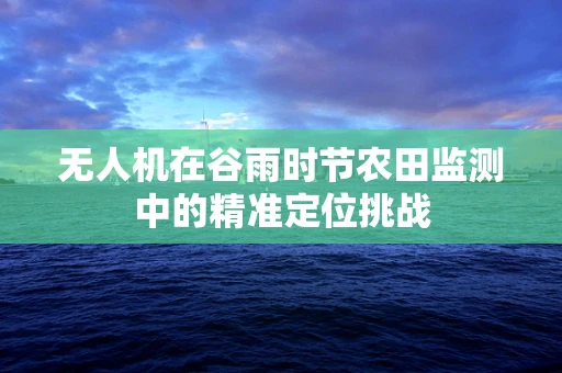 无人机在谷雨时节农田监测中的精准定位挑战