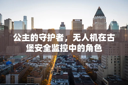 公主的守护者，无人机在古堡安全监控中的角色