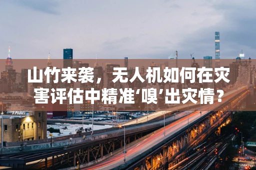 山竹来袭，无人机如何在灾害评估中精准‘嗅’出灾情？