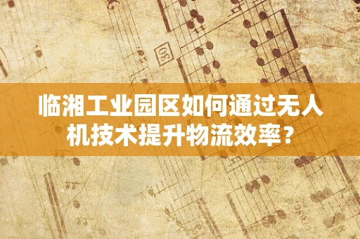 临湘工业园区如何通过无人机技术提升物流效率？