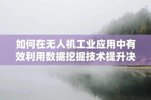 如何在无人机工业应用中有效利用数据挖掘技术提升决策效率？