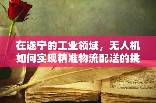 在遂宁的工业领域，无人机如何实现精准物流配送的挑战与机遇？