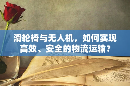 滑轮椅与无人机，如何实现高效、安全的物流运输？