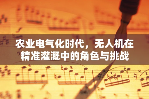 农业电气化时代，无人机在精准灌溉中的角色与挑战