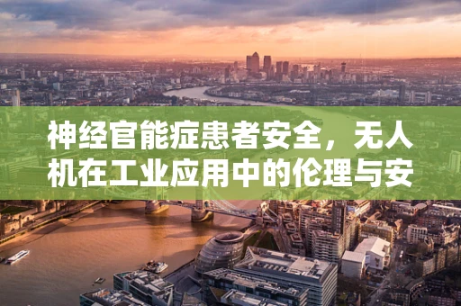 神经官能症患者安全，无人机在工业应用中的伦理与安全考量