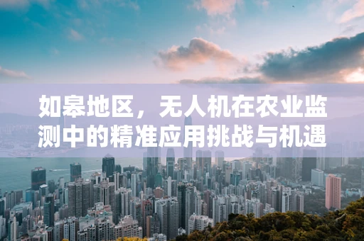 如皋地区，无人机在农业监测中的精准应用挑战与机遇
