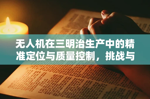 无人机在三明治生产中的精准定位与质量控制，挑战与解决方案