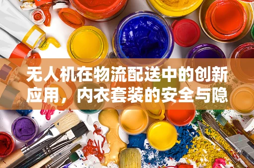 无人机在物流配送中的创新应用，内衣套装的安全与隐私保护如何平衡？