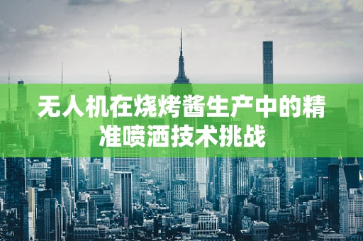 无人机在烧烤酱生产中的精准喷洒技术挑战