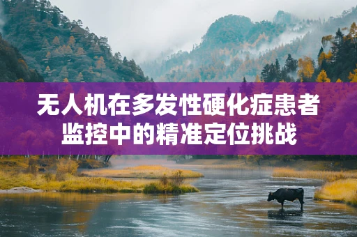 无人机在多发性硬化症患者监控中的精准定位挑战