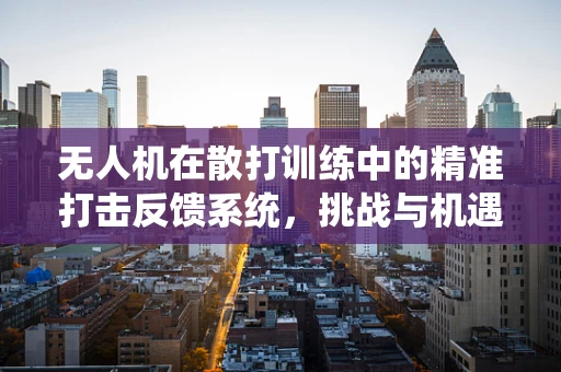 无人机在散打训练中的精准打击反馈系统，挑战与机遇