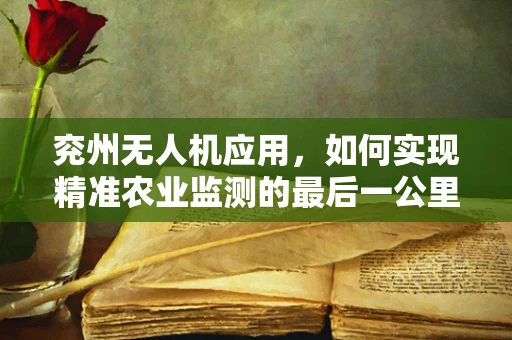 兖州无人机应用，如何实现精准农业监测的最后一公里？