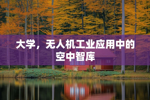 大学，无人机工业应用中的空中智库