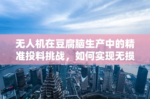 无人机在豆腐脑生产中的精准投料挑战，如何实现无损、高效配送？