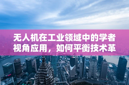 无人机在工业领域中的学者视角应用，如何平衡技术革新与法规合规？