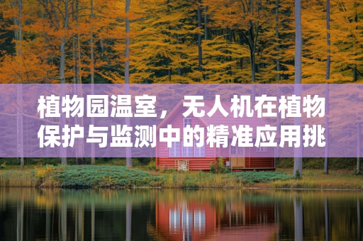 植物园温室，无人机在植物保护与监测中的精准应用挑战