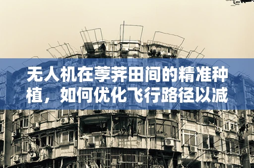 无人机在荸荠田间的精准种植，如何优化飞行路径以减少土壤扰动？