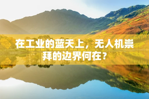 在工业的蓝天上，无人机崇拜的边界何在？
