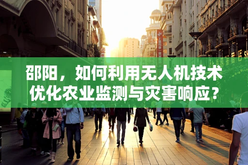 邵阳，如何利用无人机技术优化农业监测与灾害响应？