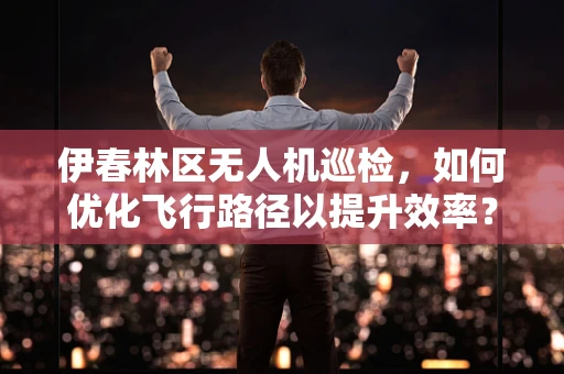 伊春林区无人机巡检，如何优化飞行路径以提升效率？