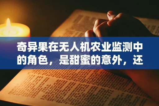奇异果在无人机农业监测中的角色，是甜蜜的意外，还是精准农业的未来？