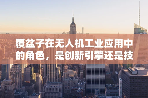 覆盆子在无人机工业应用中的角色，是创新引擎还是技术瓶颈？