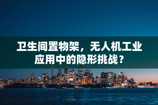 卫生间置物架，无人机工业应用中的隐形挑战？