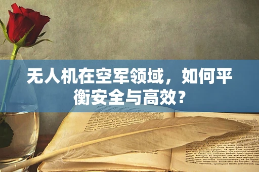 无人机在空军领域，如何平衡安全与高效？