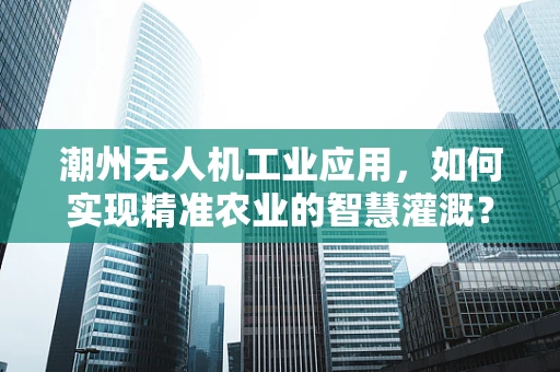 潮州无人机工业应用，如何实现精准农业的智慧灌溉？