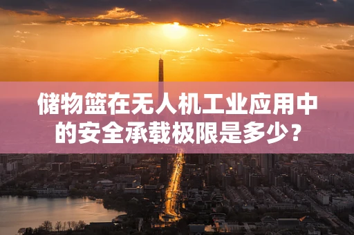 储物篮在无人机工业应用中的安全承载极限是多少？
