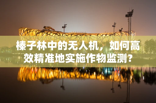 榛子林中的无人机，如何高效精准地实施作物监测？