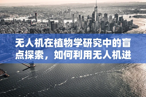 无人机在植物学研究中的盲点探索，如何利用无人机进行精准植物监测？