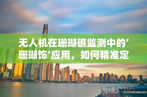 无人机在珊瑚礁监测中的‘珊瑚饰’应用，如何精准定位与保护？