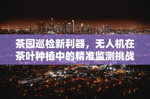 茶园巡检新利器，无人机在茶叶种植中的精准监测挑战