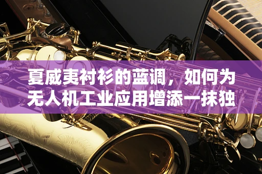 夏威夷衬衫的蓝调，如何为无人机工业应用增添一抹独特色彩？