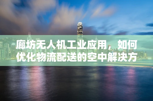 廊坊无人机工业应用，如何优化物流配送的空中解决方案？