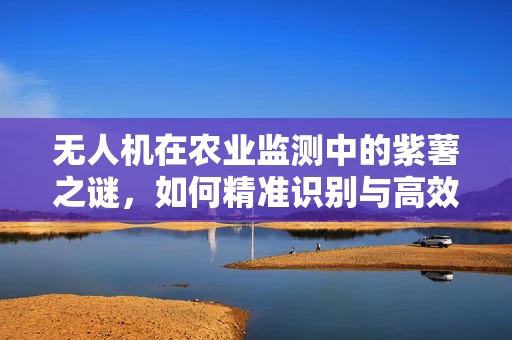 无人机在农业监测中的紫薯之谜，如何精准识别与高效管理？