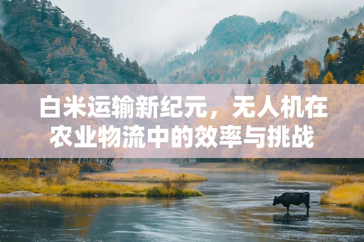 白米运输新纪元，无人机在农业物流中的效率与挑战