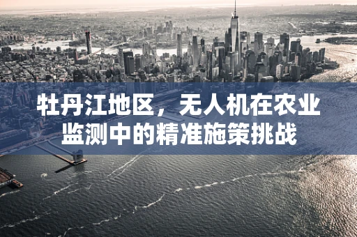 牡丹江地区，无人机在农业监测中的精准施策挑战