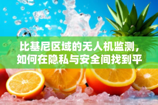比基尼区域的无人机监测，如何在隐私与安全间找到平衡？