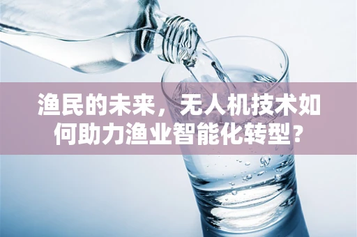 渔民的未来，无人机技术如何助力渔业智能化转型？