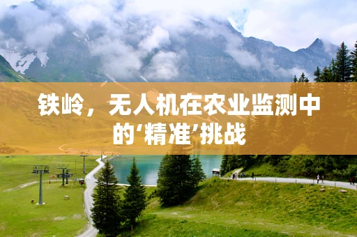 铁岭，无人机在农业监测中的‘精准’挑战