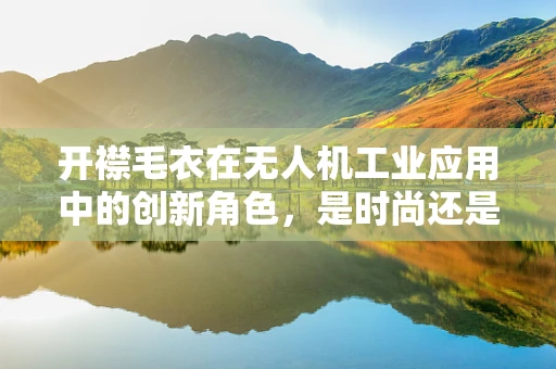 开襟毛衣在无人机工业应用中的创新角色，是时尚还是技术革新？