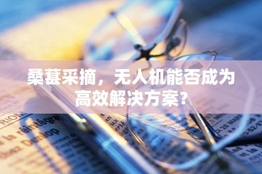 桑葚采摘，无人机能否成为高效解决方案？