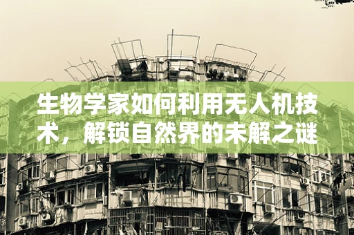 生物学家如何利用无人机技术，解锁自然界的未解之谜？