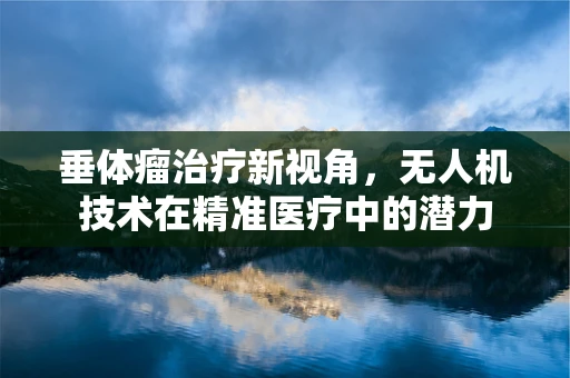 垂体瘤治疗新视角，无人机技术在精准医疗中的潜力