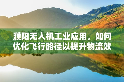 濮阳无人机工业应用，如何优化飞行路径以提升物流效率？