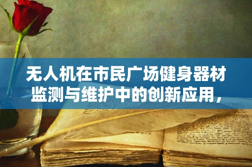 无人机在市民广场健身器材监测与维护中的创新应用，如何实现高效、无接触的监控？