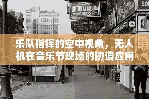 乐队指挥的空中视角，无人机在音乐节现场的协调应用